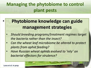 Pieces of the phytobiome: multitrophic and environmental influences on plant health. Jan Leach