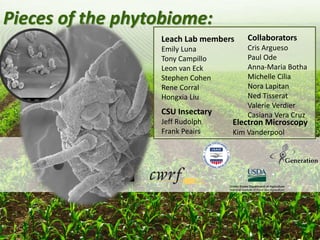 Pieces of the phytobiome: multitrophic and environmental influences on plant health. Jan Leach