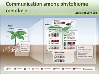 Pieces of the phytobiome: multitrophic and environmental influences on plant health. Jan Leach