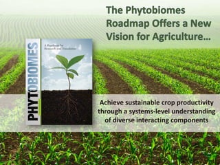 Pieces of the phytobiome: multitrophic and environmental influences on plant health. Jan Leach