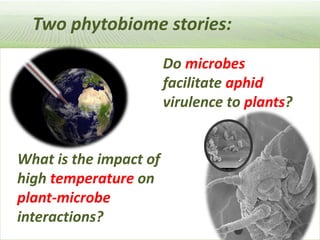 Pieces of the phytobiome: multitrophic and environmental influences on plant health. Jan Leach
