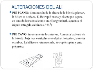 ALTERACIONES DEL ALI
PIE PLANO: disminución de la altura de la bóveda plantar,
la hélice se deshace. El Retropié prona y el ante pie supina,
en sentido horizontal como en el longitudinal, aumenta el
ángulo astrágalo calcáneo (>25°)
PIE CAVO: inversamente lo anterior. Aumenta la altura de
la bóveda, baja mas verticalmente el pilar posterior, anterior
o ambos. La hélice se retuerce más, retropié supina y ante
pié prona
 