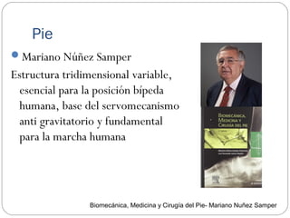 Pie
Mariano Núñez Samper
Estructura tridimensional variable,
esencial para la posición bípeda
humana, base del servomecanismo
anti gravitatorio y fundamental
para la marcha humana
Biomecánica, Medicina y Cirugía del Pie- Mariano Nuñez Samper
 
