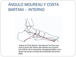 ÁNGULO MOUREAU Y COSTA
BARTANI – INTERNO
 
