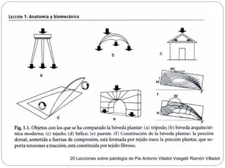 20 Lecciones sobre patología de Pie Antonio Viladot Voegeli/ Ramón Villadot
 