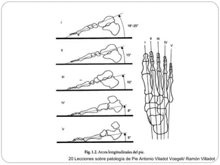 20 Lecciones sobre patología de Pie Antonio Viladot Voegeli/ Ramón Villadot
 