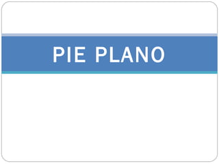 PIE PLANO
 