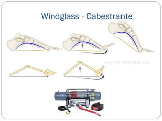 Windglass - Cabestrante
 