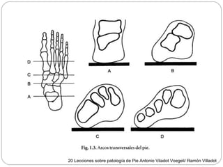 20 Lecciones sobre patología de Pie Antonio Viladot Voegeli/ Ramón Villadot
 