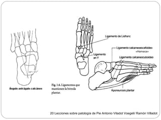 20 Lecciones sobre patología de Pie Antonio Viladot Voegeli/ Ramón Villadot
«Hamaca»
 