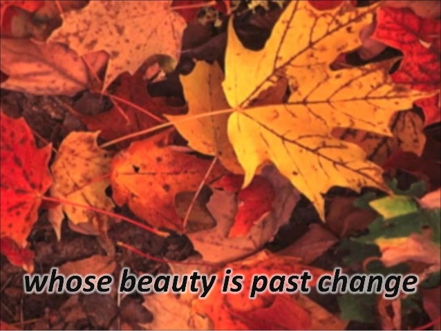 pied beauty by gerard manley hopkins essay Gerard manley hopkins' poem 'pied beauty' is a celebration of the mottled, seemingly imperfect parts of nature essay writing: help & tutorial. pied beauty by gerard manley hopkins essay Gerard manley hopkins' poem 'pied beauty' is a celebration of the mottled, seemingly imperfect parts of nature essay writing: help & tutorial.
