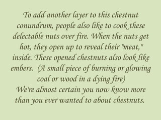 To add another layer to this chestnut
conundrum, people also like to cook these
delectable nuts over fire. When the nuts get
hot, they open up to reveal their "meat,"
inside. These opened chestnuts also look like
embers. (A small piece of burning or glowing
coal or wood in a dying fire)
We're almost certain you now know more
than you ever wanted to about chestnuts.
 