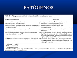 PATÓGENOSPATÓGENOS
 
