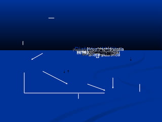 Diabetes Mellitus
Mal control metabólico
Artropatía
Posición anormal
del pie
MotoraSensitivaAutonómica
Vasculopatía
periférica
Nutrición
celular
IsquemiaUlceraInfección de Piede presionescallos
Piel seca
grietas
Neuropatía
Diabética
Posición anormal
del pie
MotoraSensitiva
Posición anormal
del pie
MotoraAutonómicaSensitiva
Posición anormal
del pie
Motora
Nutrición
celular
AutonómicaSensitiva
Posición anormal
del pie
Motora Isquemia
Nutrición
celular
AutonómicaSensitiva
Posición anormal
del pie
Motora
Piel seca
grietas
Isquemia
Nutrición
celular
AutonómicaSensitiva
Posición anormal
del pie
Motorade presiones
Piel seca
grietas
Isquemia
Nutrición
celular
AutonómicaSensitiva
Posición anormal
del pie
Motoracallosde presiones
Piel seca
grietas
Isquemia
Nutrición
celular
AutonómicaSensitiva
Posición anormal
del pie
MotoraUlceracallosde presiones
Piel seca
grietas
Isquemia
Nutrición
celular
AutonómicaSensitiva
Posición anormal
del pie
Motora
 