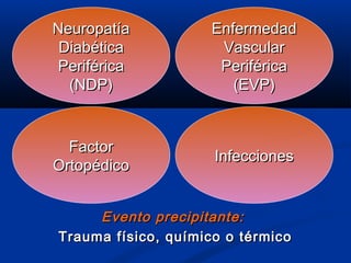 Evento precipitante:Evento precipitante:
Trauma físico, químico o térmicoTrauma físico, químico o térmico
NeuropatíaNeuropatía
DiabéticaDiabética
PeriféricaPeriférica
(NDP)(NDP)
EnfermedadEnfermedad
VascularVascular
PeriféricaPeriférica
(EVP)(EVP)
FactorFactor
OrtopédicoOrtopédico
InfeccionesInfecciones
 