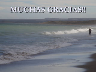 MUCHAS GRACIAS!!MUCHAS GRACIAS!!
 
