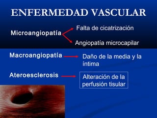 Macroangiopatía
Microangiopatía
Falta de cicatrización
Angiopatía microcapilar
Daño de la media y la
íntima
ENFERMEDAD VASCULAR
Ateroesclerosis Alteración de la
perfusión tisular
 