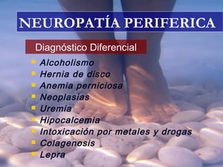 NEUROPATÍA PERIFERICA
Diagnóstico Diferencial
 Alcoholismo
 Hernia de disco
 Anemia perniciosa
 Neoplasias
 Uremia
 Hipocalcemia
 Intoxicación por metales y drogas
 Colagenosis
 Lepra
 