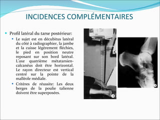 Proﬁl latéral du tarse postérieur: Le sujet est en décubitus latéral du côté à radiographier, la jambe et la cuisse légèrement ﬂéchies, le pied en position neutre reposant sur son bord latéral. L’axe quatrième métatarsien-calcanéus doit être horizontal. Le rayon directeur est vertical centré sur la pointe de la malléole médiale. Critères de réussite: Les deux berges de la poulie talienne doivent être superposées. INCIDENCES COMPLÉMENTAIRES 