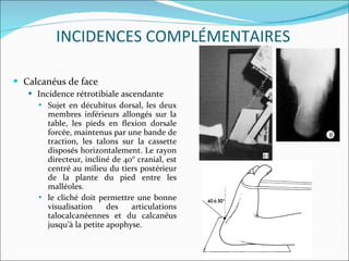 Calcanéus de face Incidence rétrotibiale ascendante  Sujet en décubitus dorsal, les deux membres inférieurs allongés sur la table, les pieds en ﬂexion dorsale forcée, maintenus par une bande de traction, les talons sur la cassette disposés horizontalement. Le rayon directeur, incliné de 40° cranial, est centré au milieu du tiers postérieur de la plante du pied entre les malléoles. le cliché doit permettre une bonne visualisation des articulations talocalcanéennes et du calcanéus jusqu’à la petite apophyse. INCIDENCES COMPLÉMENTAIRES 
