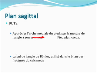 BUTS: Apprécier l’arche médiale du pied, par la mesure de l’angle à son sommet  Pied plat, creux. calcul de l’angle de Böhler, utilisé dans le bilan des fractures du calcanéus Plan sagittal Plan sagittal 