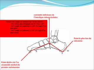 Point déclive de l’os sésamoïde médial du premier métatarsien extrémité inférieure de  l’interligne talonaviculaire Point le plus bas du  calcanéus Valeurs de l’angle au sommet de l’arche interne   : 1-la valeur physiologique est de 120 à 128° ; 2-si l’angle est supérieur à 128°, il s’agit d’un pied plat ; 3-si l’angle est inférieur à 120°, il s’agit d’un pied creux. 