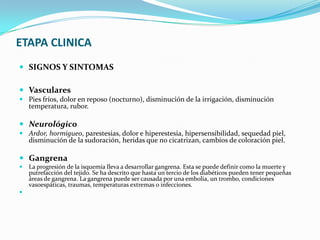 ETAPA CLINICA
 SIGNOS Y SINTOMAS

 Vasculares
 Pies fríos, dolor en reposo (nocturno), disminución de la irrigación, disminución
  temperatura, rubor.

 Neurológico
 Ardor, hormigueo, parestesias, dolor e hiperestesia, hipersensibilidad, sequedad piel,
  disminución de la sudoración, heridas que no cicatrizan, cambios de coloración piel.

 Gangrena
   La progresión de la isquemia lleva a desarrollar gangrena. Esta se puede definir como la muerte y
    putrefacción del tejido. Se ha descrito que hasta un tercio de los diabéticos pueden tener pequeñas
    áreas de gangrena. La gangrena puede ser causada por una embolia, un trombo, condiciones
    vasoespáticas, traumas, temperaturas extremas o infecciones.

 