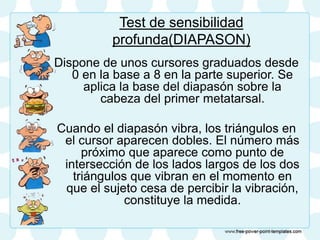 Test de sensibilidad
profunda(DIAPASON)
Dispone de unos cursores graduados desde
0 en la base a 8 en la parte superior. Se
aplica la base del diapasón sobre la
cabeza del primer metatarsal.
Cuando el diapasón vibra, los triángulos en
el cursor aparecen dobles. El número más
próximo que aparece como punto de
intersección de los lados largos de los dos
triángulos que vibran en el momento en
que el sujeto cesa de percibir la vibración,
constituye la medida.
 