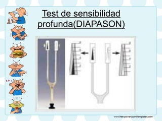 Test de sensibilidad
profunda(DIAPASON)
 