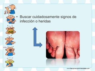 • Buscar cuidadosamente signos de
infección o heridas
 