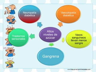Altos
niveles de
azúcar
Neuropatía
diabética
Trastornos
sensoriales
Gangrena
Vasos
sanguíneos
llevan menos
sangre
Vasculopatía
diabética
 