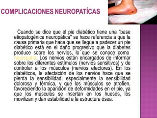 Cuando se dice que el pie diabético tiene una "base
etiopatogénica neuropática" se hace referencia a que la
causa primaria que hace que se llegue a padecer un pie
diabético está en el daño progresivo que la diabetes
produce sobre los nervios, lo que se conoce como
neuropatía. Los nervios están encargados de informar
sobre los diferentes estímulos (nervios sensitivos) y de
controlar a los músculos (nervios efectores). En los
diabéticos, la afectación de los nervios hace que se
pierda la sensibilidad, especialmente la sensibilidad
dolorosa y térmica, y que los músculos se atrofien,
favoreciendo la aparición de deformidades en el pie, ya
que los músculos se insertan en los huesos, los
movilizan y dan estabilidad a la estructura ósea.
 