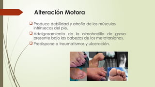 Alteración Motora
 Produce debilidad y atrofia de los músculos
intrínsecos del pie.
 Adelgazamiento de la almohadilla de grasa
presente bajo las cabezas de los metatarsianos.
 Predispone a traumatismos y ulceración.
 