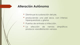 Alteración Autónoma
 Disminuye la sudoración del pie,
 produciendo una piel seca, con intensa
hiperqueratosis y grietas
 Puertas de entrada a infección.
 La afección de nervios simpáticos
produce vasodilatación venosa.
 