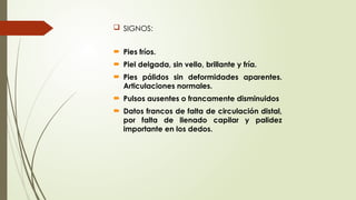  SIGNOS:
 Pies fríos.
 Piel delgada, sin vello, brillante y fría.
 Pies pálidos sin deformidades aparentes.
Articulaciones normales.
 Pulsos ausentes o francamente disminuidos
 Datos francos de falta de circulación distal,
por falta de llenado capilar y palidez
importante en los dedos.
 