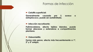 Formas de Infección
 Celulitis superficial:
Generalmente causada por S. aureus o
estreptococo, puede ser autolimitada.
 Infección necrotizante:
Polimicrobiana, afecta tejidos blandos, puede
formar abscesos y extenderse a compartimentos
plantares.
 Osteomielitis:
Forma más grave, afecta más frecuentemente a 1º,
2º y 5º ortejos.
 