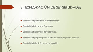 3_ EXPLORACIÓN DE SENSIBILIDADES
 Sensibilidad protectora: Monofilamento.
 Sensibilidad vibratoria: Diapasón.
 Sensibilidad calor/frío: Barra térmica.
 Sensibilidad propioceptiva: Martillo de reflejos (reflejo aquíleo).
 Sensibilidad táctil: Torunda de algodón.
 