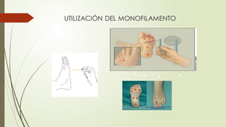 ●
●
●
● ●
●
●
●
●
●
●
 