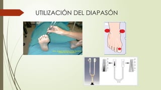 UTILIZACIÓN DEL DIAPASÓN
 