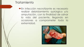Tratamiento
En infección necrotizante es necesario
realizar debridamiento quirúrgico y/o
amputación, con la finalidad de salvar
la vida del paciente, llegando en
ocasiones a comprometer toda la
extremidad.
 
