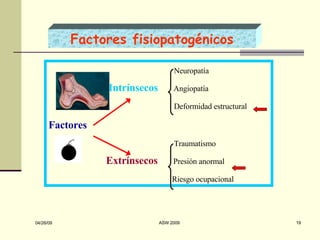 Factores fisiopatogénicos Neuropatía Intrínsecos   Angiopatía Deformidad estructural Factores   Traumatismo Extrínsecos   Presión anormal Riesgo ocupacional 