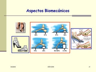Aspectos   Biomecánicos 