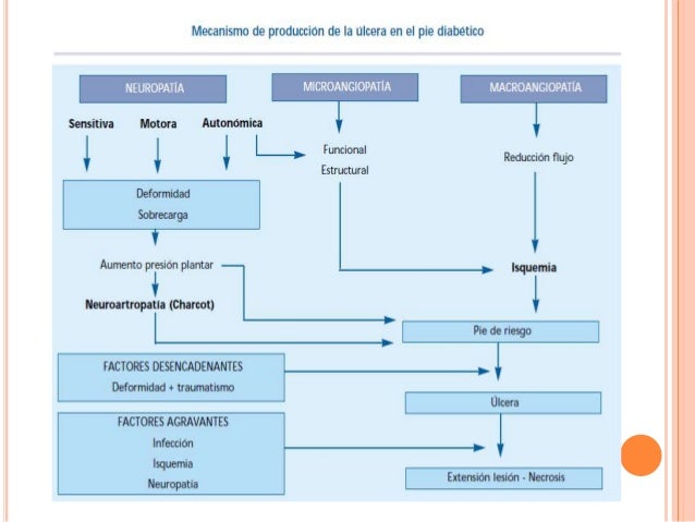 Pie diabetico cirugia Pie diabetico cirugia