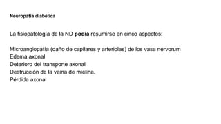 Neuropatía diabética
La fisiopatología de la ND podía resumirse en cinco aspectos:
Microangiopatía (daño de capilares y arteriolas) de los vasa nervorum
Edema axonal
Deterioro del transporte axonal
Destrucción de la vaina de mielina.
Pérdida axonal
 