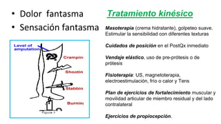 • Dolor fantasma
• Sensación fantasma
Tratamiento kinésico
Masoterapia (crema hidratante), golpeteo suave.
Estimular la sensibilidad con diferentes texturas
Cuidados de posición en el PostQx inmediato
Vendaje elástico, uso de pre-prótesis o de
prótesis
Fisioterapia: US, magnetoterapia,
electroestimulación, frío o calor y Tens
Plan de ejercicios de fortalecimiento muscular y
movilidad articular de miembro residual y del lado
contralateral
Ejercicios de propiocepción.
 