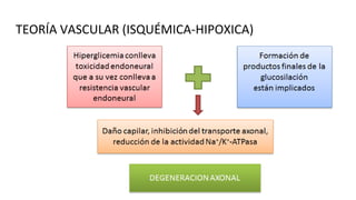 TEORÍA VASCULAR (ISQUÉMICA-HIPOXICA)
 