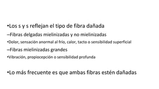 •Los s y s reflejan el tipo de fibra dañada
–Fibras delgadas mielinizadas y no mielinizadas
•Dolor, sensación anormal al frío, calor, tacto o sensibilidad superficial
–Fibras mielinizadas grandes
•Vibración, propiocepción o sensibilidad profunda
•Lo más frecuente es que ambas fibras estén dañadas
 