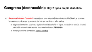 Gangrena (destrucción): Hay 2 tipos en pie diabético
● Gangrena húmeda “genuina”: cuando un gran vaso del muslo/pantorrilla (AyV), se ocluyen
bruscamente, dejando gran parte del pie sin nutrientes adecuados.
○ La glucosa en tejidos favorece a la proliferación bacteriana --> sepsis, liberación de toxinas, vaculitis
neutrofílica, trombosis arteriolar, necrosis y finalmente GANGRENA.
○ Histológicamente: cambios de necrosis licuativa
 