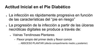 Actitud Inicial en el Pie Diabético
● La infección es rápidamente progresiva en función
de las características del “pie en riesgo”
● La progresión de la infección a partir de las úlceras
necróticas digitales se produce a través de:
● Vainas Tendinosas Plantares
− Flexor propio del primer dedo y flexor común
● ABSCESO PLANTAR (afecta compartimento medio y posterior)
 