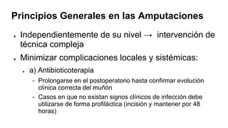 Principios Generales en las Amputaciones
● Independientemente de su nivel → intervención de
técnica compleja
● Minimizar complicaciones locales y sistémicas:
● a) Antibioticoterapia
− Prolongarse en el postoperatorio hasta confirmar evolución
clínica correcta del muñón
− Casos en que no existan signos clínicos de infección debe
utilizarse de forma profiláctica (incisión y mantener por 48
horas)
 